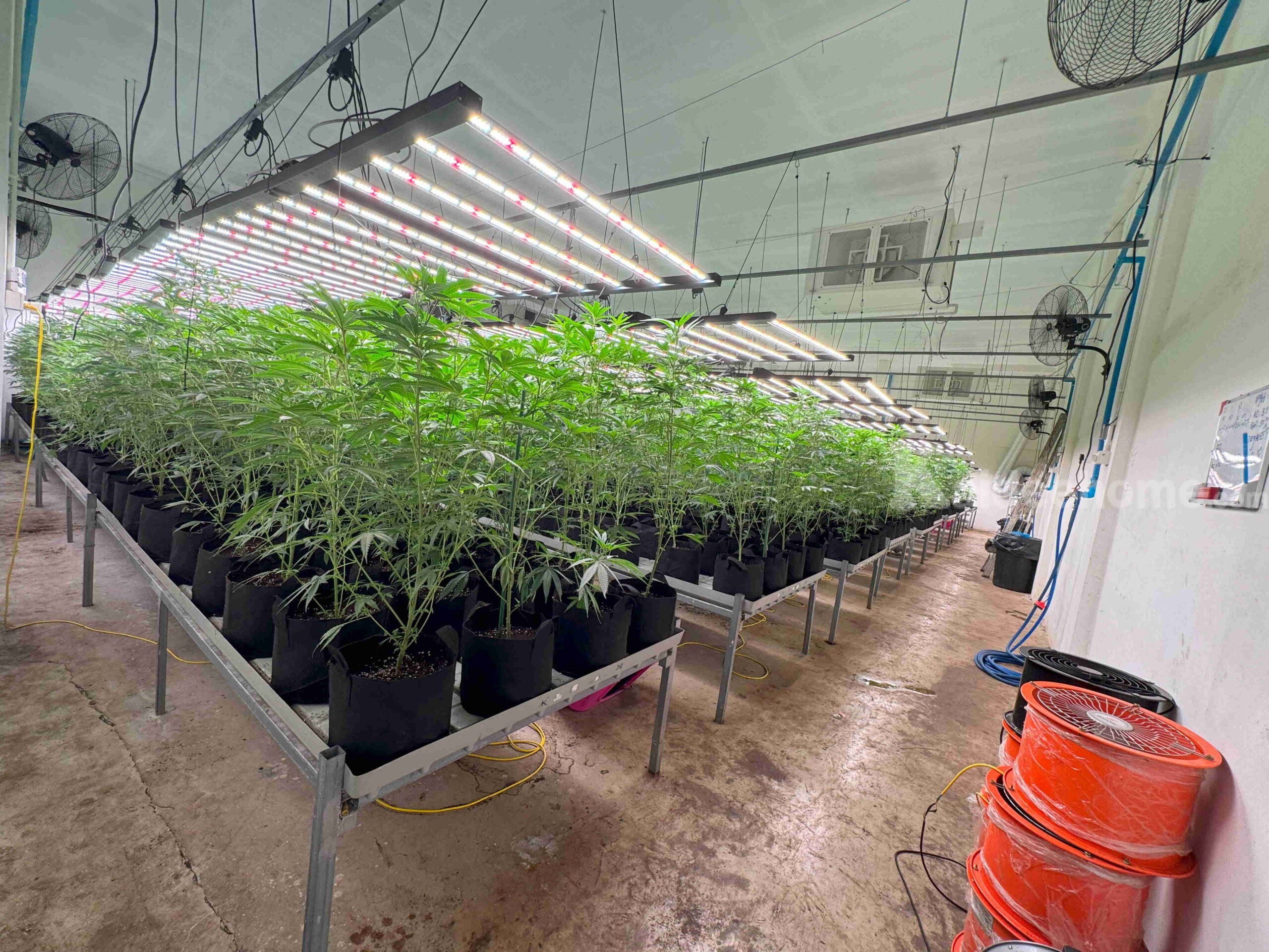 ให้เช่าโกดังพร้อมอุปกรณ์สำหรับปลูกกัญชา- ขนาด 252 ตร.ม. ย่านหลักหก ปทุมธานี