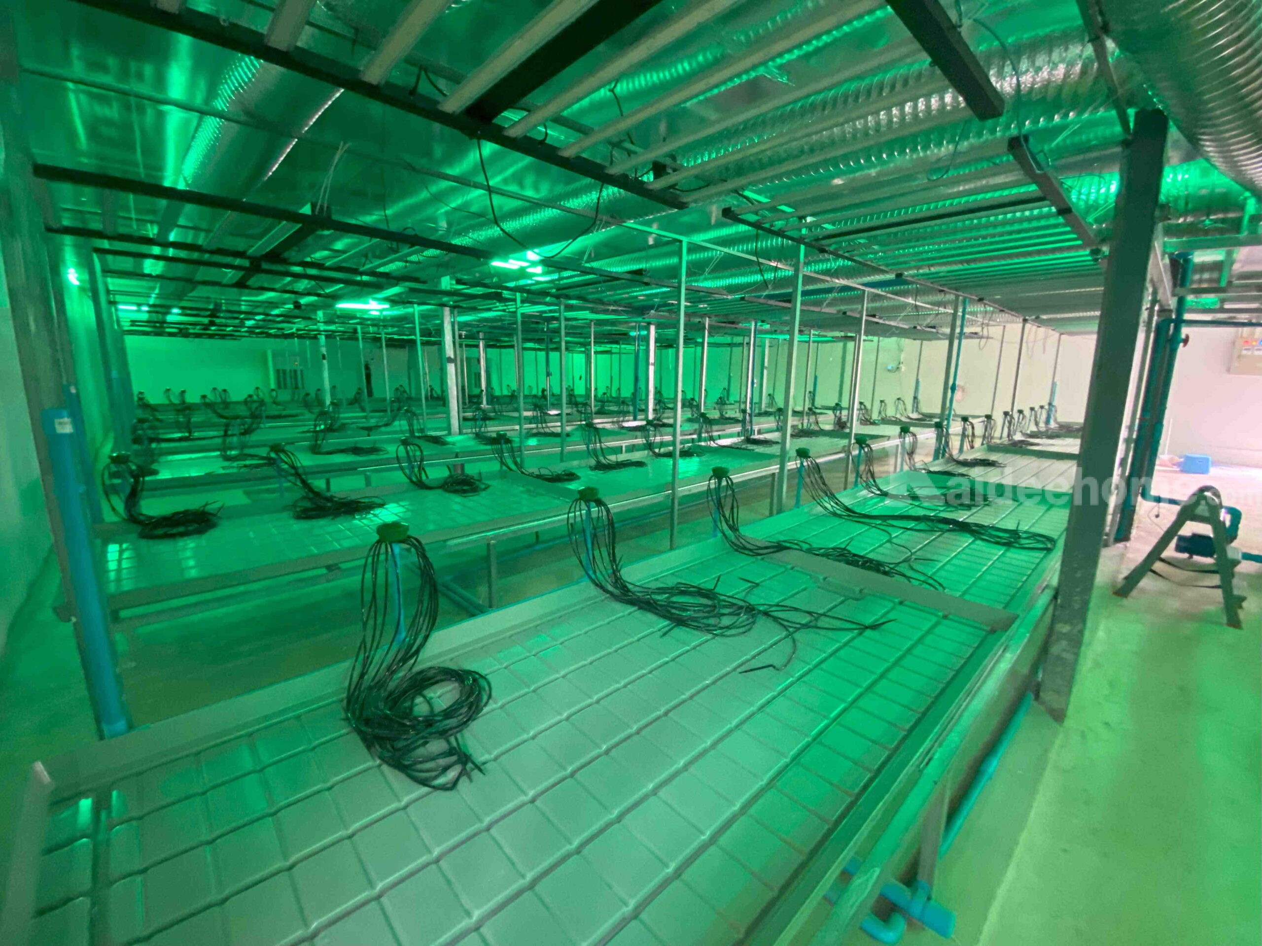 ให้เช่าโกดังพร้อมอุปกรณ์สำหรับปลูกกัญชา – ขนาด 280 ตร.ม. ย่านหลักหก ปทุมธานี