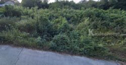 ที่ดินผังสีเขียว 6-1-31.7 ไร่ ใกล้ถนนมิตรภาพ – นครราชสีมา