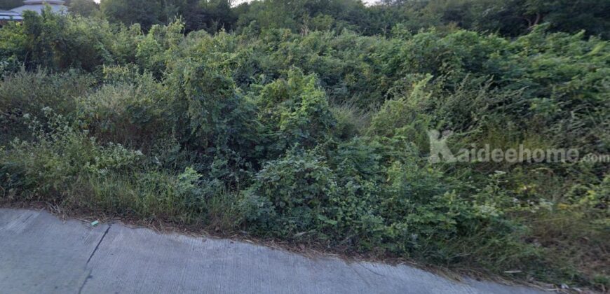 ที่ดินผังสีเขียว 6-1-31.7 ไร่ ใกล้ถนนมิตรภาพ – นครราชสีมา