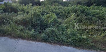 ที่ดิน บ้านโพธิ์ นครราชสีมา เนื้อที่ 6 ไร่ 1 งาน 31.7 ตรว