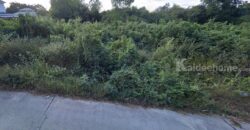 ที่ดินผังสีเขียว 6-1-31.7 ไร่ ใกล้ถนนมิตรภาพ – นครราชสีมา