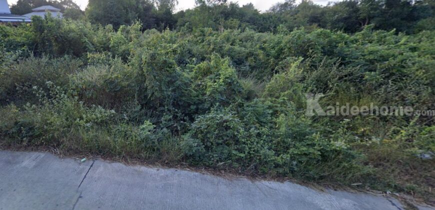 ที่ดินผังสีเขียว 6-1-31.7 ไร่ ใกล้ถนนมิตรภาพ – นครราชสีมา