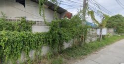 ที่ดินผังสีชมพู หนองข้างของ ชลบุรี