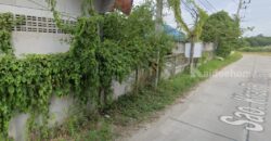 ที่ดินผังสีชมพู หนองข้างของ ชลบุรี