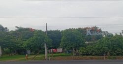 ขายด่วน! ที่ดินสวนเกษตรผสมผสานสไตล์รีสอร์ท อ.พัฒนานิคม จ.ลพบุรี พร้อมบ้านและสิ่งปลูกสร้างครบครัน โทร 063-3832910