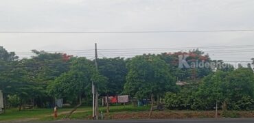 ขายด่วน! ที่ดินสวนเกษตรผสมผสานสไตล์รีสอร์ท อ.พัฒนานิคม จ.ลพบุรี พร้อมบ้านและสิ่งปลูกสร้างครบครัน โทร 063-3832910