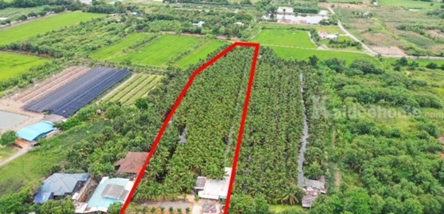 พื้นที่สวนมะพร้าว วิไลลักษณ์ ขายที่ดินพร้อมสวนมะพร้าว บางใหญ่ นนทบุรี เนื้อที่ 7 ไร่ 2 งาน 11 ตรว. โทร 088-2559999 เจ้าของขายเอง