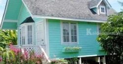 ขายบ้านสวนไทรน้อย 75 ตรว. 2.35 ลบ (ลดจาก 2.65 ลบ) พร้อมไม้ดอก ผลไม้ อยู่ซอยแสนสบาย ไทรน้อย นนทบุรี โทร 085-261-9111