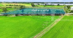 ที่ดินไทรน้อย 4-2-42 ไร่ พร้อมโอน ราคาถูกที่สุดในบางบัวทอง