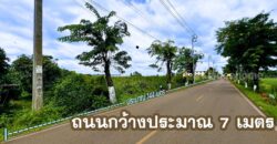 ที่ดินไทรน้อย 4-2-42 ไร่ พร้อมโอน ราคาถูกที่สุดในบางบัวทอง