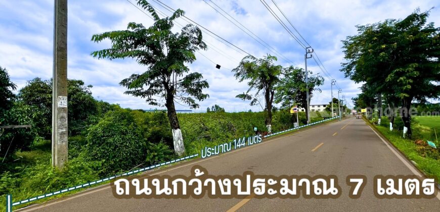 ที่ดินไทรน้อย 4-2-42 ไร่ พร้อมโอน ราคาถูกที่สุดในบางบัวทอง