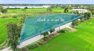 ที่ดินไทรน้อย 4-2-42 ไร่ พร้อมโอน ราคาถูกที่สุดในบางบัวทอง