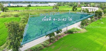 ที่ดินไทรน้อย 4-2-42 ไร่ พร้อมโอน ราคาถูกที่สุดในบางบัวทอง