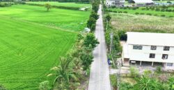 ที่ดินไทรน้อย 4-2-42 ไร่ พร้อมโอน ราคาถูกที่สุดในบางบัวทอง