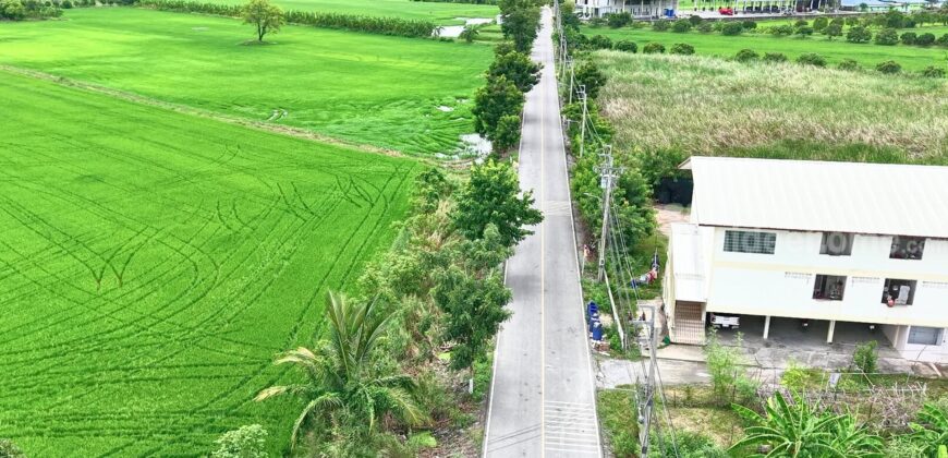 ที่ดินไทรน้อย 4-2-42 ไร่ พร้อมโอน ราคาถูกที่สุดในบางบัวทอง