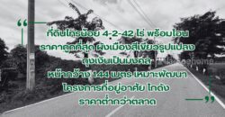 ที่ดินไทรน้อย 4-2-42 ไร่ พร้อมโอน ราคาถูกที่สุดในบางบัวทอง