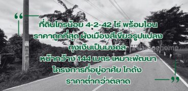 ที่ดินไทรน้อย 4-2-42 ไร่ พร้อมโอน ราคาถูกที่สุดในบางบัวทอง