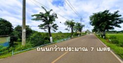 ที่ดินไทรน้อย 4-2-42 ไร่ ผังเมืองสีเขียว รูปแปลงถุงเงินเป็นมงคล หน้ากว้าง 144 เมตร เหมาะพัฒนาโครงการที่อยู่อาศัย โกดัง