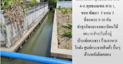 ให้เช่าบ้านเดี่ยว 2 ชั้น ซอย พัฒนา ถ.พรานนก-พุทธมณฑล สาย 4-ถ.พุทธมณฑล สาย 1, 5 นอน 3 ที่จอดรถ 5-10 คัน ทำธุรกิจและจดทะเบียนได้ เหมาะสำหรับที่อยู่ บ้านดูแลคนชรา ร้านอาหาร โกดัง ศูนย์กระจายสินค้า