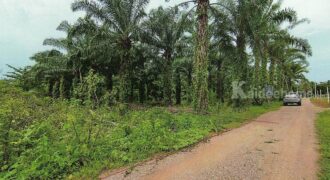 ขายที่ดิน 7 ไร่ ผังเมืองสีชมพู เมืองชุมพร ใกล้ถนนเพชรเกษม ทำเลทองพัฒนาได้ทันที