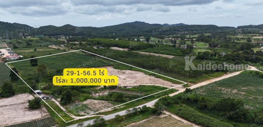 ที่ดินราคาดี นิคมพัฒนา ระยอง ที่สวยบรรยากาศเงียบสงบ 59-3-38.5 ไร่
