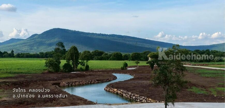 ขายที่ริมน้ำ วิวเขา วังไทร คลองม่วง ปากช่อง ที่ติดน้ำ ใกล้ภูเขา วิวเขาล้อมรอบ 1 ไร่ 2 งาน แปลงสวย วิวเขายายเที่ยง นครราชสีมา ใกล้เขาใหญ่ ลำตะคอง น้ำไฟพร้อม ใกล้ my ozone 087-9074045
