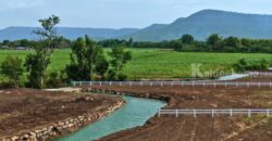 ขายที่ริมน้ำ วิวเขา วังไทร คลองม่วง ปากช่อง ที่ติดน้ำ ใกล้ภูเขา วิวเขาล้อมรอบ 1 ไร่ 2 งาน แปลงสวย วิวเขายายเที่ยง นครราชสีมา ใกล้เขาใหญ่ ลำตะคอง น้ำไฟพร้อม ใกล้ my ozone 087-9074045