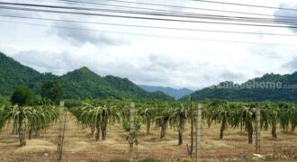 ขายที่เขาวง เขาใหญ่ ปากช่อง หนองน้ำแดง 20 ไร่ ติดถนนเส้นหลักเขาวง ที่สวย วิวเขาสวยชัดมาก ใกล้ภูเขา ใกล้ถนนธนะรัชต์ ศูนย์ผู้นำCP ใกล้มอเตอร์เวย์ ห้างชุมชนร้านค้า ถนนมิตรภาพ ที่สูงบรรยากาศดี 087-9074045