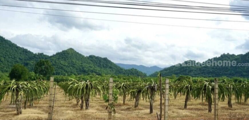 ขายที่เขาวง เขาใหญ่ ปากช่อง หนองน้ำแดง 20 ไร่ ติดถนนเส้นหลักเขาวง ที่สวย วิวเขาสวยชัดมาก ใกล้ภูเขา ใกล้ถนนธนะรัชต์ ศูนย์ผู้นำCP ใกล้มอเตอร์เวย์ ห้างชุมชนร้านค้า ถนนมิตรภาพ ที่สูงบรรยากาศดี 087-9074045