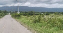 ขายที่ดินวังไทร ปากช่อง 17 ไร่ วิวเขายายเที่ยงสวยมาก ที่สูงลักษณะบนเนิน เทควิวเขาสวยชัด บรรยากาศดีมาก ลมโกรกพัดตลอด ที่ใกล้ อบต วังไทร ใกล้ชุมชม ร้านค้า ไม่เปลี่ยว เหมาะพัฒนาแบ่งแปลงขาย 087-9074045