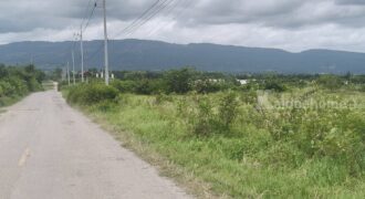 ขายที่ดินวังไทร ปากช่อง 17 ไร่ วิวเขายายเที่ยงสวยมาก ที่สูงลักษณะบนเนิน เทควิวเขาสวยชัด บรรยากาศดีมาก ลมโกรกพัดตลอด ที่ใกล้ อบต วังไทร ใกล้ชุมชม ร้านค้า ไม่เปลี่ยว เหมาะพัฒนาแบ่งแปลงขาย 087-9074045