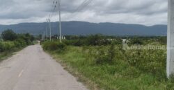 ขายที่ดินวังไทร ปากช่อง 17 ไร่ วิวเขายายเที่ยงสวยมาก ที่สูงลักษณะบนเนิน เทควิวเขาสวยชัด บรรยากาศดีมาก ลมโกรกพัดตลอด ที่ใกล้ อบต วังไทร ใกล้ชุมชม ร้านค้า ไม่เปลี่ยว เหมาะพัฒนาแบ่งแปลงขาย 087-9074045