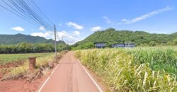 ขายที่เขาวง เขาใหญ่ 6ไร่ หนองน้ำแดง ปากช่อง วิวเขาสวยมาก ที่ใกล้ภูเขา ใกล้ชุมชน ร้านค้าไม่เปลี่ยว ที่สูง วิวเขาล้อมรอบ ติดถนนลาดยาง น้ำไฟถึงแล้ว ใกล้ธนะรัชต์ กุดคล้า อยู่หลังสนามกลอ์ฟเขาใหญ่คันทรีคลับ 087-9074045