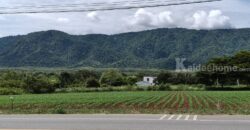 ขายที่ดินเขาใหญ่ ติดถนน3052 หมูสี ปากช่อง ที่ดิน 4 ไร่ติดถนนใหญ่ ใกล้ธนะรัชต์ ทางไปทอสคานา โป่งตาลอง ใกล้คีรีมายา วิวอุทยานเขาใหญ่สวยมาก ใกล้ดุสิตดีทู บ้านเลือดไทย 087-9074045