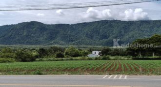 ขายที่ดินเขาใหญ่ ติดถนน3052 หมูสี ปากช่อง ที่ดิน 4 ไร่ติดถนนใหญ่ ใกล้ธนะรัชต์ ทางไปทอสคานา โป่งตาลอง ใกล้คีรีมายา วิวอุทยานเขาใหญ่สวยมาก ใกล้ดุสิตดีทู บ้านเลือดไทย 087-9074045