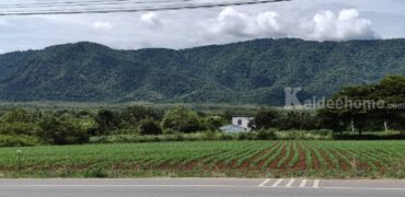 ขายที่ดินเขาใหญ่ ติดถนน3052 หมูสี ปากช่อง ที่ดิน 4 ไร่ติดถนนใหญ่ ใกล้ธนะรัชต์ ทางไปทอสคานา โป่งตาลอง ใกล้คีรีมายา วิวอุทยานเขาใหญ่สวยมาก ใกล้ดุสิตดีทู บ้านเลือดไทย 087-9074045