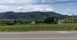 ขายที่ดินเขาใหญ่ ติดถนน3052 หมูสี ปากช่อง ที่ดิน 4 ไร่ติดถนนใหญ่ ใกล้ธนะรัชต์ ทางไปทอสคานา โป่งตาลอง ใกล้คีรีมายา วิวอุทยานเขาใหญ่สวยมาก ใกล้ดุสิตดีทู บ้านเลือดไทย 087-9074045