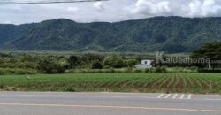 ขายที่ดินเขาใหญ่ ติดถนน3052 หมูสี ปากช่อง ที่ดิน 4 ไร่ติดถนนใหญ่ ใกล้ธนะรัชต์ ทางไปทอสคานา โป่งตาลอง ใกล้คีรีมายา วิวอุทยานเขาใหญ่สวยมาก ใกล้ดุสิตดีทู บ้านเลือดไทย 087-9074045