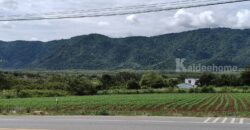 ขายที่ดินเขาใหญ่ ติดถนน3052 หมูสี ปากช่อง ที่ดิน 4 ไร่ติดถนนใหญ่ ใกล้ธนะรัชต์ ทางไปทอสคานา โป่งตาลอง ใกล้คีรีมายา วิวอุทยานเขาใหญ่สวยมาก ใกล้ดุสิตดีทู บ้านเลือดไทย 087-9074045