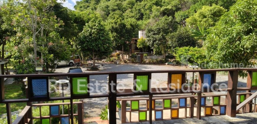 ขายรีสอร์ทกิจการเขาใหญ่ ปากช่อง ที่ดินพร้อมสิ่งปลูกสร้าง ต้นไม้ใหญ่ร่มรื่น 446 ตร.ว ถนนธนะรัชต์ ท่าช้าง หมูสี ที่ติดเขามีพื้นที่นอกโฉนด เหมาะทำรีสอร์ท ร้านอาหาร คาเฟ่ โรงแรม ใกล้น้ำผุด คีรีมายา อุทยาน 0879074045