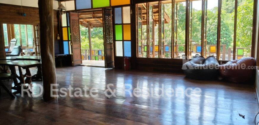 ขายรีสอร์ทกิจการเขาใหญ่ ปากช่อง ที่ดินพร้อมสิ่งปลูกสร้าง ต้นไม้ใหญ่ร่มรื่น 446 ตร.ว ถนนธนะรัชต์ ท่าช้าง หมูสี ที่ติดเขามีพื้นที่นอกโฉนด เหมาะทำรีสอร์ท ร้านอาหาร คาเฟ่ โรงแรม ใกล้น้ำผุด คีรีมายา อุทยาน 0879074045