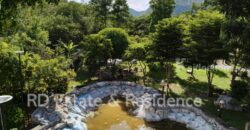 ขายรีสอร์ทกิจการเขาใหญ่ ปากช่อง ที่ดินพร้อมสิ่งปลูกสร้าง ต้นไม้ใหญ่ร่มรื่น 446 ตร.ว ถนนธนะรัชต์ ท่าช้าง หมูสี ที่ติดเขามีพื้นที่นอกโฉนด เหมาะทำรีสอร์ท ร้านอาหาร คาเฟ่ โรงแรม ใกล้น้ำผุด คีรีมายา อุทยาน 0879074045