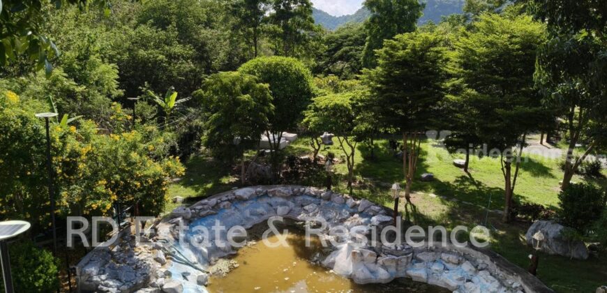 ขายรีสอร์ทกิจการเขาใหญ่ ปากช่อง ที่ดินพร้อมสิ่งปลูกสร้าง ต้นไม้ใหญ่ร่มรื่น 446 ตร.ว ถนนธนะรัชต์ ท่าช้าง หมูสี ที่ติดเขามีพื้นที่นอกโฉนด เหมาะทำรีสอร์ท ร้านอาหาร คาเฟ่ โรงแรม ใกล้น้ำผุด คีรีมายา อุทยาน 0879074045