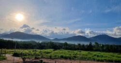 ที่ดินพร้อมบ้านวิวเขาและสวนผลไม้ อำเภอเมือง ระยอง 2 ไร่ 78 ตร.ว. ที่ดินพร้อมบ้านวิวเขาและสวนผลไม้ อำเภอเมือง ระยอง 2 ไร่ 78 ตร.ว.