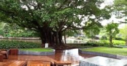 ให้เช่าคอนโด บลอคส์ 77 (Blocs 77) อ่อนนุช ห้องมุมมีความเป็นส่วนตัว วิวสวย