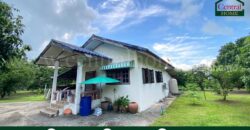 บ้านเดี่ยว ชั้นเดียว พร้อมที่ดิน 2-3-97 ไร่ วังกระโจม – นครนายก
