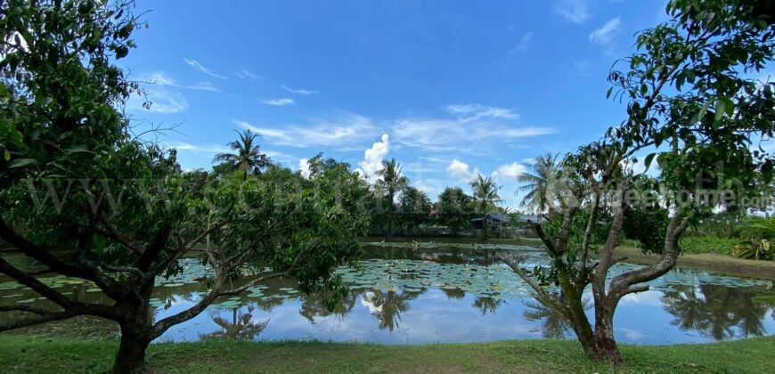 บ้านเดี่ยว ชั้นเดียว พร้อมที่ดิน 2-3-97 ไร่ วังกระโจม – นครนายก