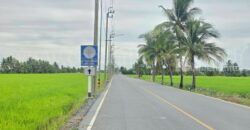 ที่ดินเปล่า 6-1-89 ไร่ คลองนิยมยาตรา บางบ่อ สมุทรปราการ