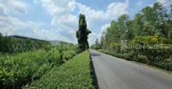 ที่ดินเปล่า 7-1-20 ไร่ อ่อนนุช 88/1 ประเวศ